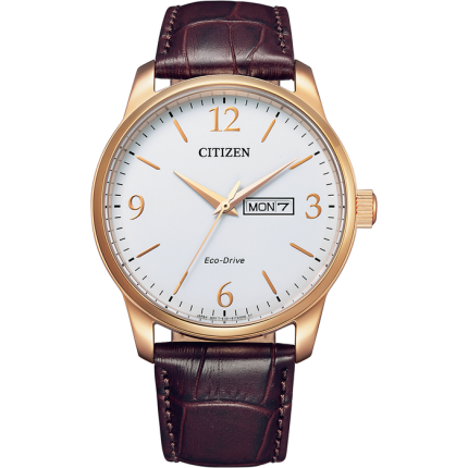 Citizen Eco-Drive Men's Strap Rose Watch