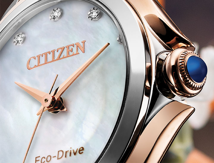 Wallace Allan Citizen watches why buy